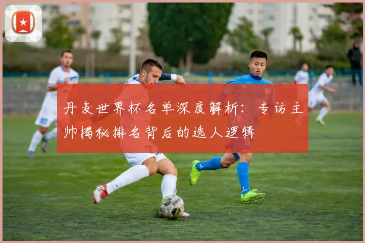 丹麦世界杯名单深度解析：专访主帅揭秘排名背后的选人逻辑