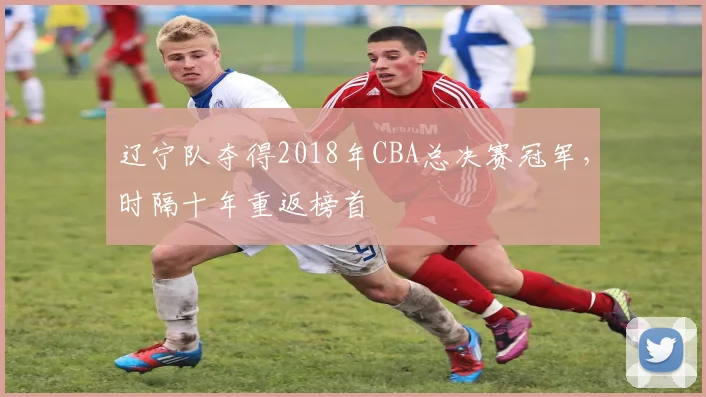 辽宁队夺得2018年CBA总决赛冠军,时隔十年重返榜首