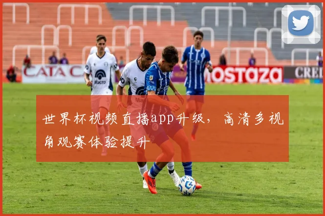 世界杯视频直播app升级,高清多视角观赛体验提升