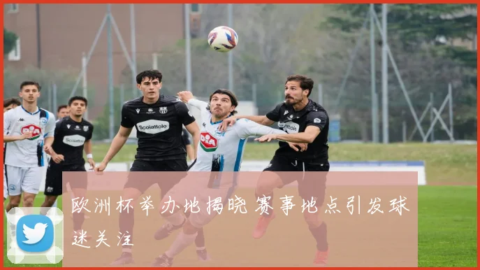 欧洲杯举办地揭晓 赛事地点引发球迷关注