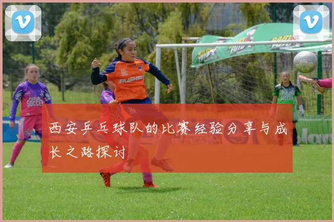 西安乒乓球队的比赛经验分享与成长之路探讨