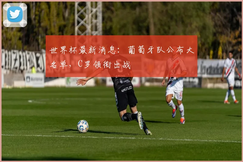 世界杯最新消息：葡萄牙队公布大名单，C罗领衔出战
