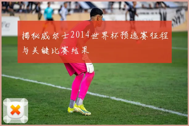 揭秘威尔士2014世界杯预选赛征程与关键比赛结果