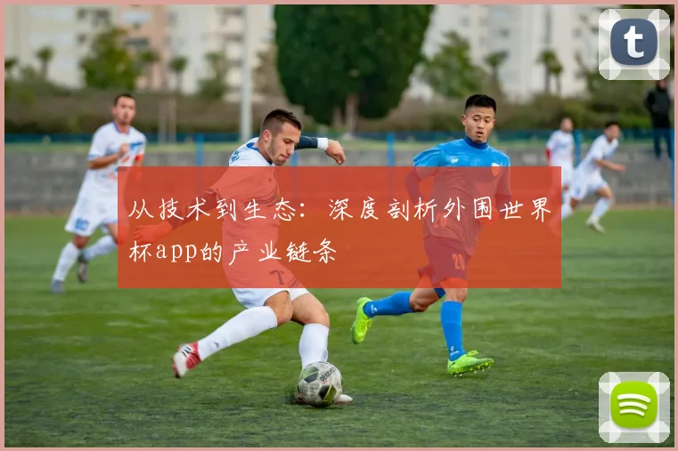 从技术到生态:深度剖析外围世界杯app的产业链条