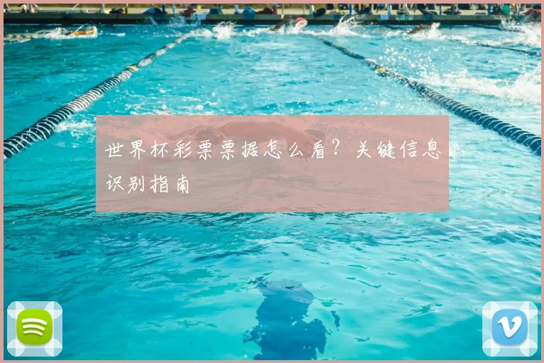 世界杯彩票票据怎么看?关键信息识别指南
