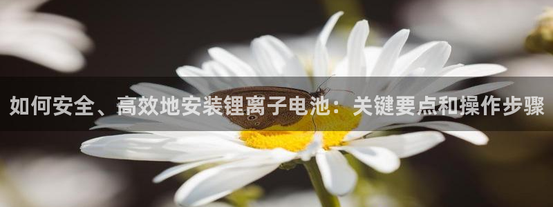okpay钱包怎么下载