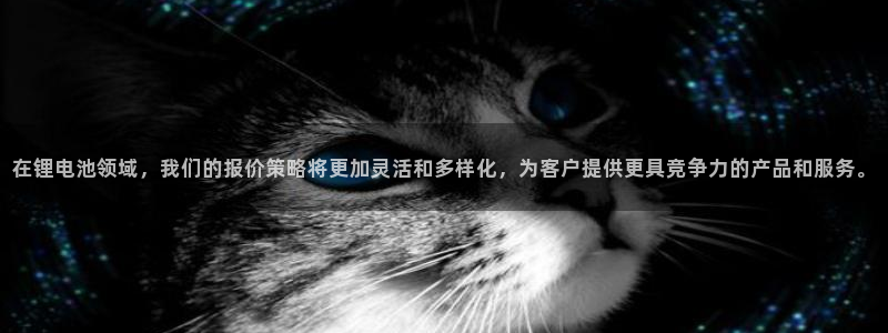 okpay支付钱包