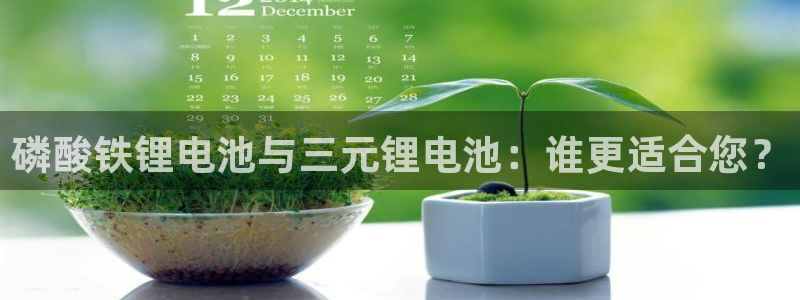 okpay钱包下载手机版