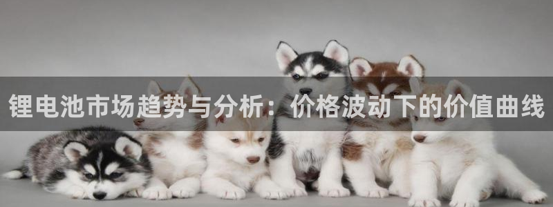 okpay钱包下载手机版