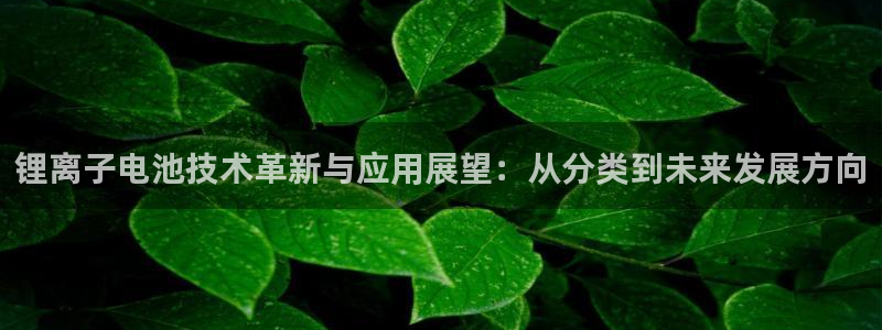 okpay钱包安全吗