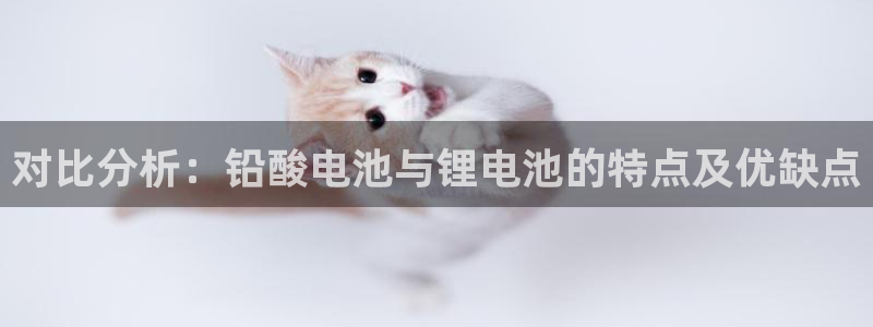 okpay钱包是哪个国家的