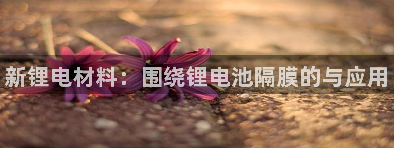 钱包okpay