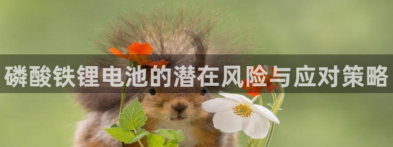 okpay钱包实名认证有风险吗