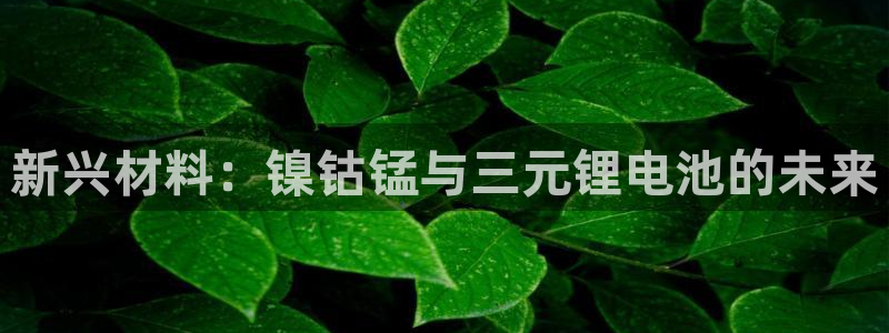 okpay是什么钱包