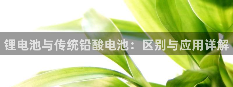 okpay钱包地址