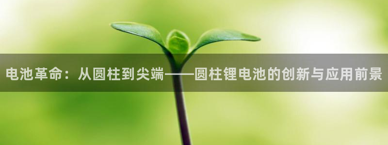 okpay钱包最新下载：电池革命：从圆柱
