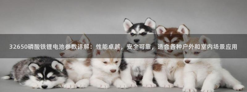 okpay钱包靠谱吗：32650磷酸铁锂